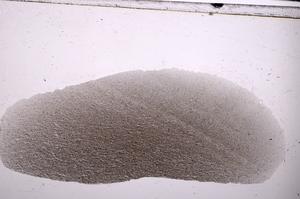 Plane Polarized, E47322