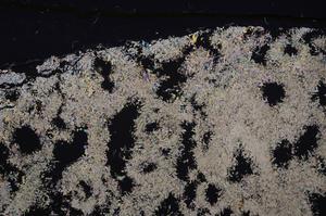 Cross Polarized, E47383/B