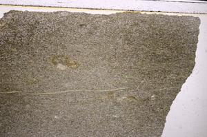 Plane Polarized, E47395/A