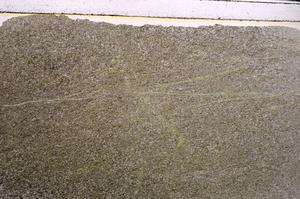 Plane Polarized, E47395/B