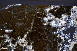 Cross Polarized, E47435