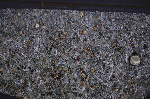 Cross Polarized, E47438