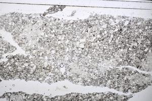 Plane Polarized, E47478