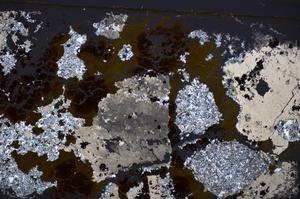 Cross Polarized, E47494