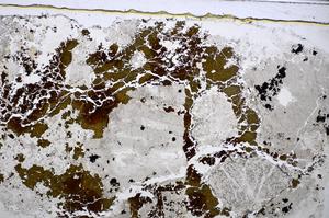 Plane Polarized, E47494