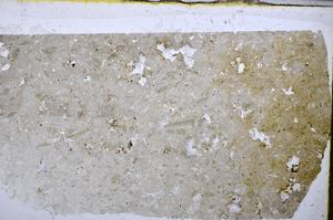 Plane Polarized, E47504