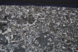 Cross Polarized, E47525