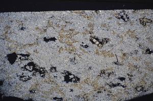 Cross Polarized, E47591