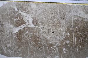 Plane Polarized, E47631