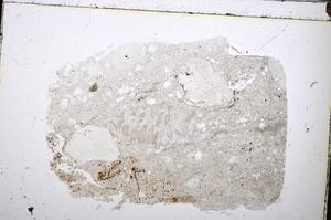 Plane Polarized, E47653/A