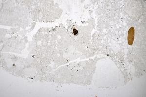 Plane Polarized, E47653/B