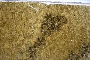 Plane Polarized, E47669