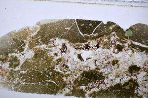 Plane Polarized, E47679/A