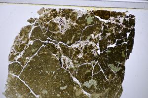 Plane Polarized, E47679/B