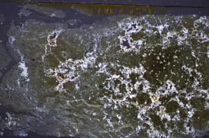 Cross Polarized, E47680