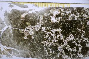 Plane Polarized, E47680