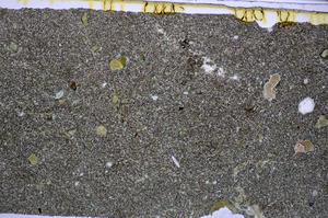 Plane Polarized, E47681