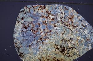 Cross Polarized, E47682/A