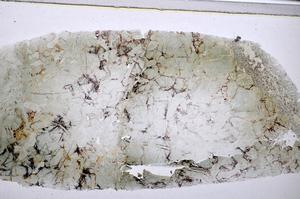 Plane Polarized, E47682/B