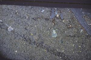 Cross Polarized, E47683