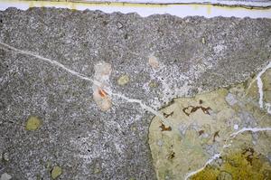 Plane Polarized, E47685