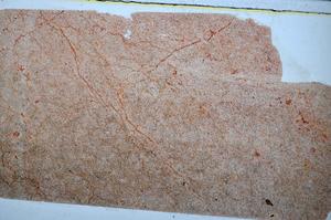 Plane Polarized, E47687/A