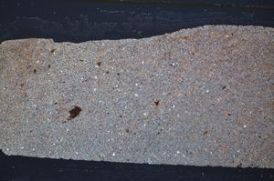 Cross Polarized, E47687/B