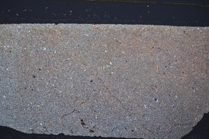 Cross Polarized, E47687/C