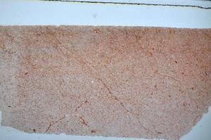 Plane Polarized, E47687/C