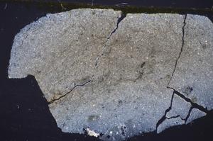 Cross Polarized, E47687/D