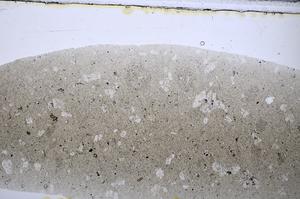 Plane Polarized, E47690