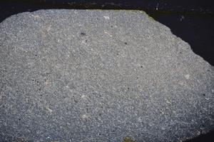 Cross Polarized, E47691