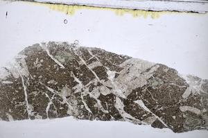 Plane Polarized, E47693/B