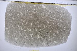 Plane Polarized, E47694