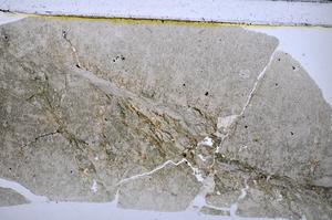 Plane Polarized, E47697