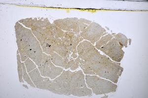 Plane Polarized, E47698/A
