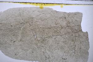 Plane Polarized, E47700