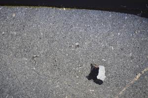 Cross Polarized, E47702