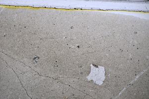 Plane Polarized, E47702