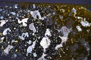 Cross Polarized, E47734