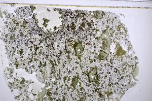 Plane Polarized, E47741