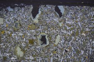 Cross Polarized, E47743