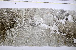 Plane Polarized, E47746/B