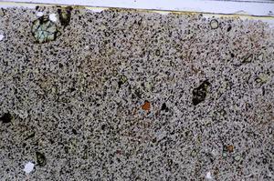 Plane Polarized, E47747