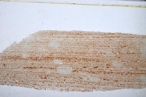 Plane Polarized, E47880