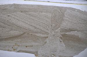 Plane Polarized, E47881