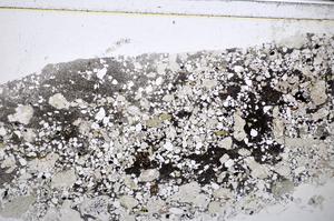 Plane Polarized, E47889