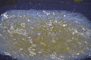 Cross Polarized, E47912