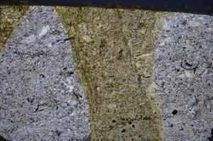 Cross Polarized, E47920