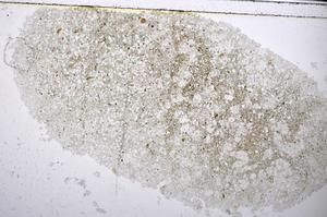 Plane Polarized, E48066